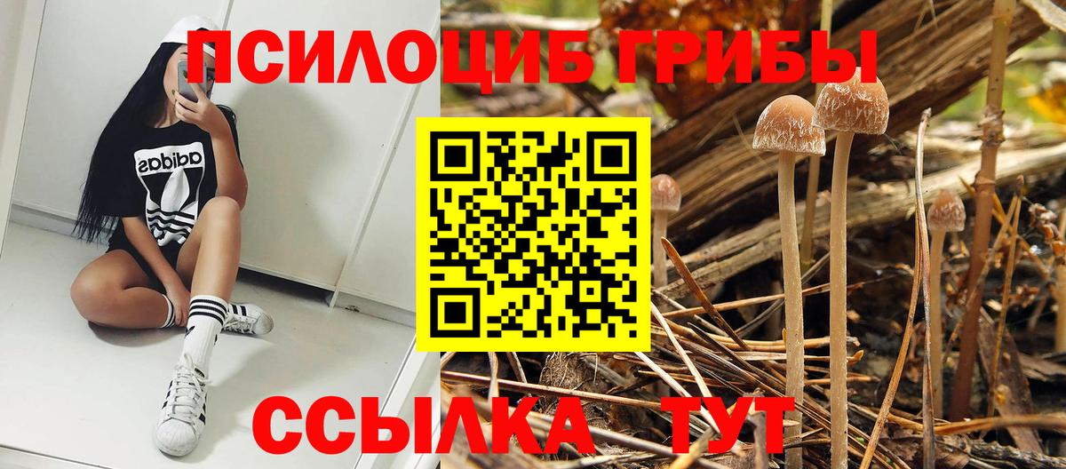 Каспийск  Галлюциногенные грибы ЛСД  Вход с VPN 